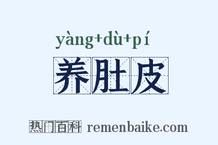 养肚皮是什么意思的图片